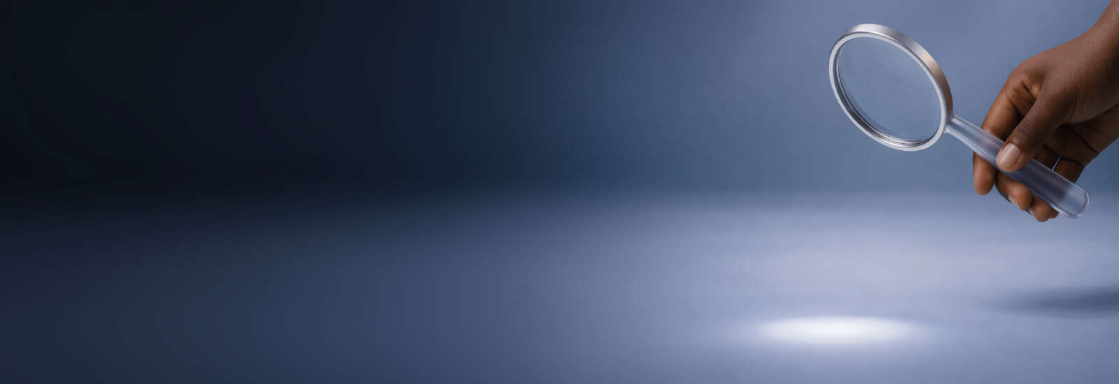 Magnifier banner 1600x550px.jpg
